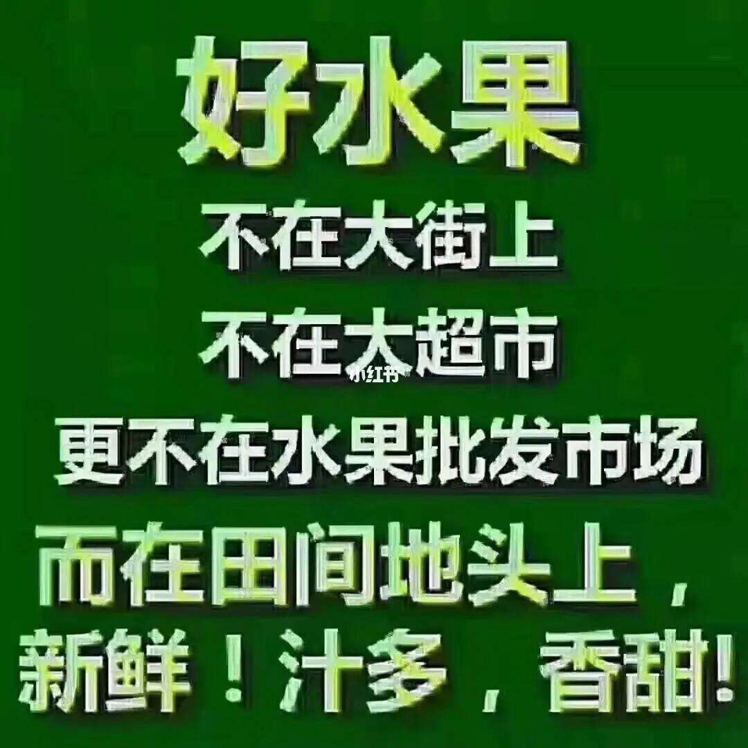 遇见苹果版见游戏下载苹果版-第2张图片-太平洋在线下载