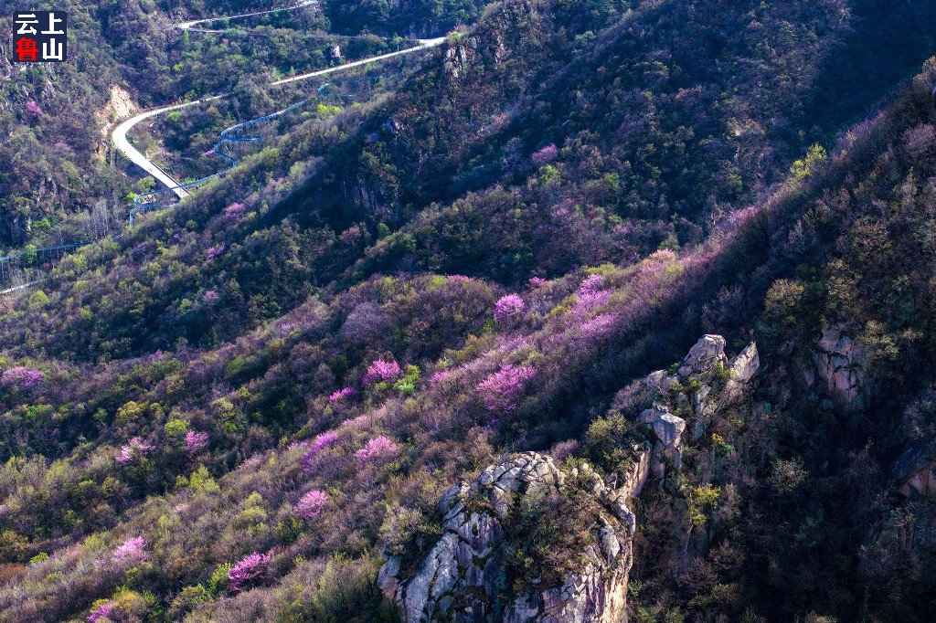 鲁山云客户端平顶山市鲁山县深化放管服改革-第2张图片-太平洋在线下载